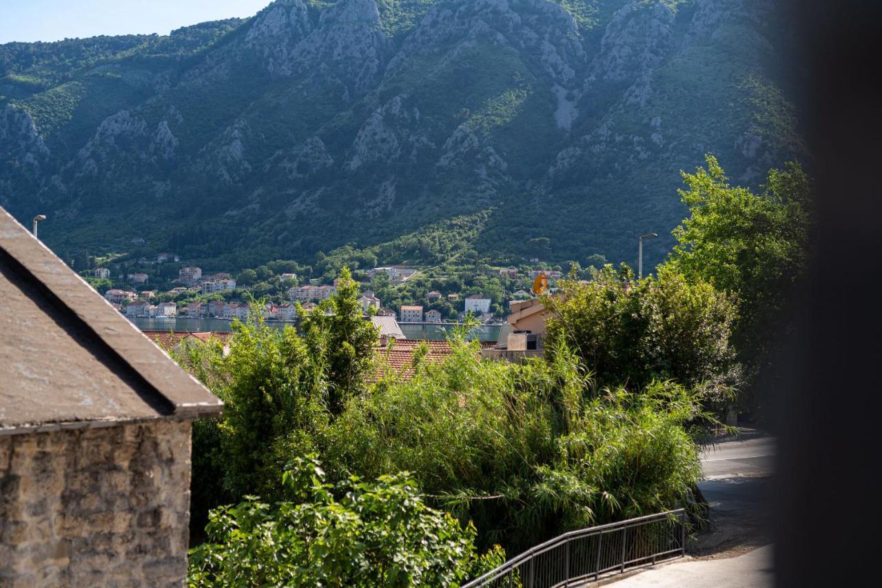 C Group Apartments Kotor Bagian luar foto